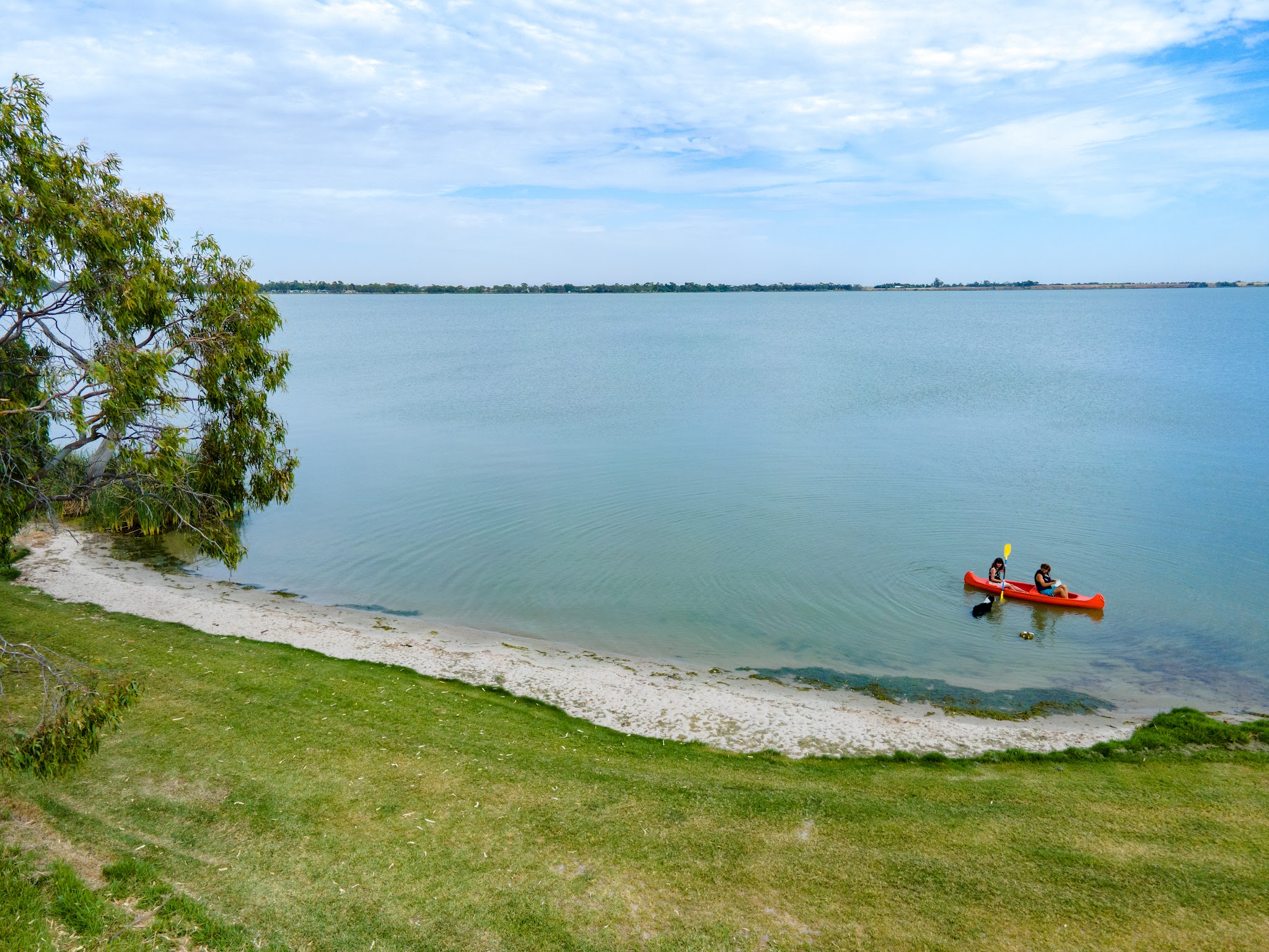Lake Charm on a clear day, turquoise water and a white sand beach with a gum tree overhanging the shore