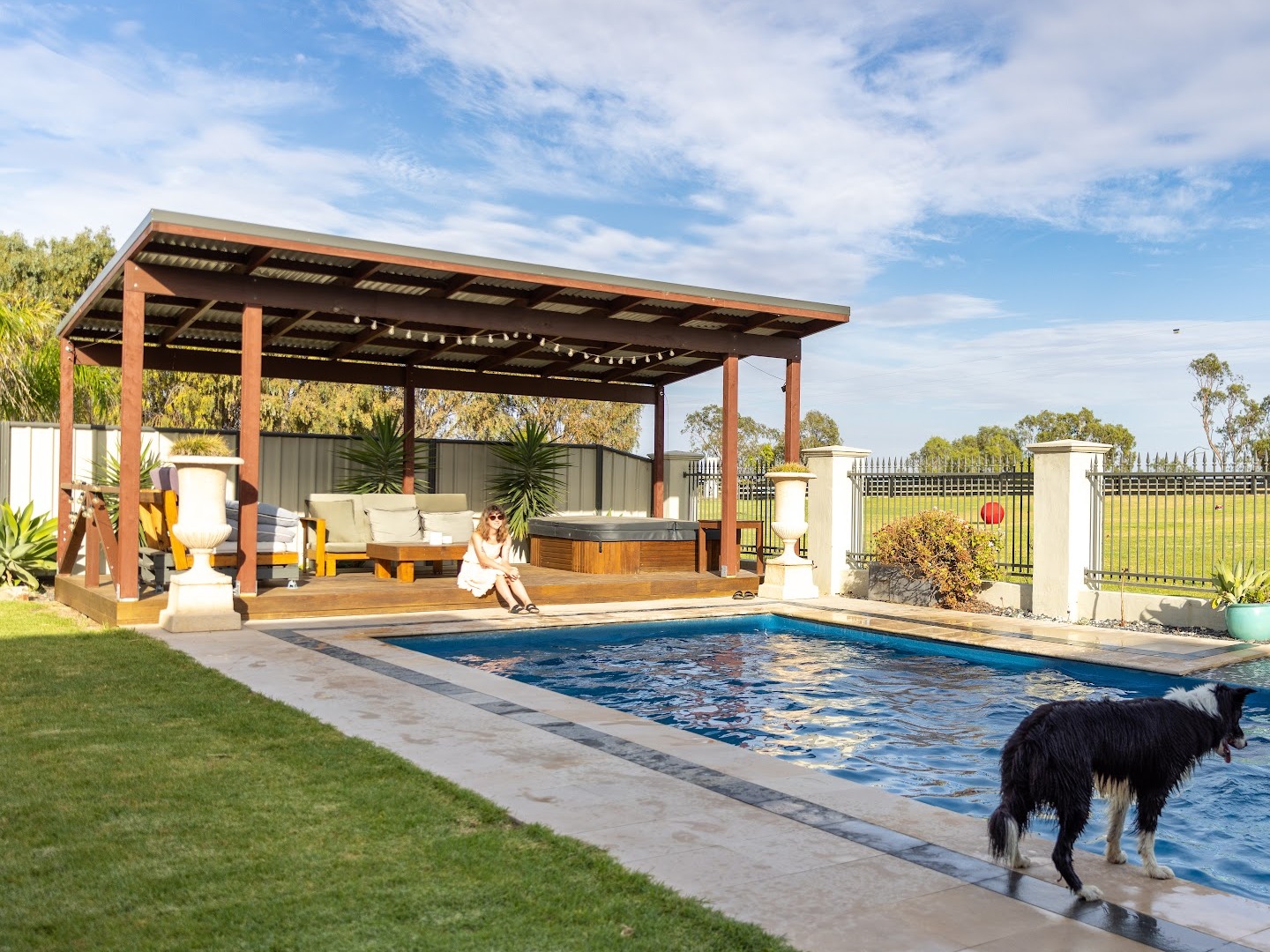 The salt water pool and timber pergola with festoon lights, the spa and outdoor lounge behind, open paddock beyond the fence, and Billie the border collie at the pool edge